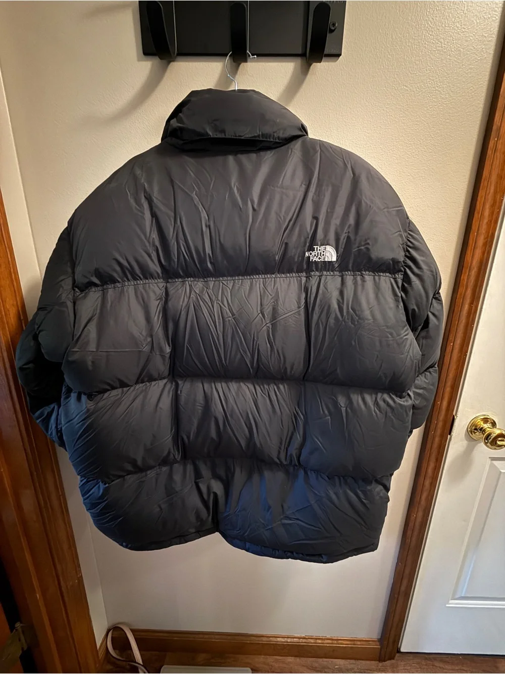 The North Face Black Men's Down Puffer Jacket